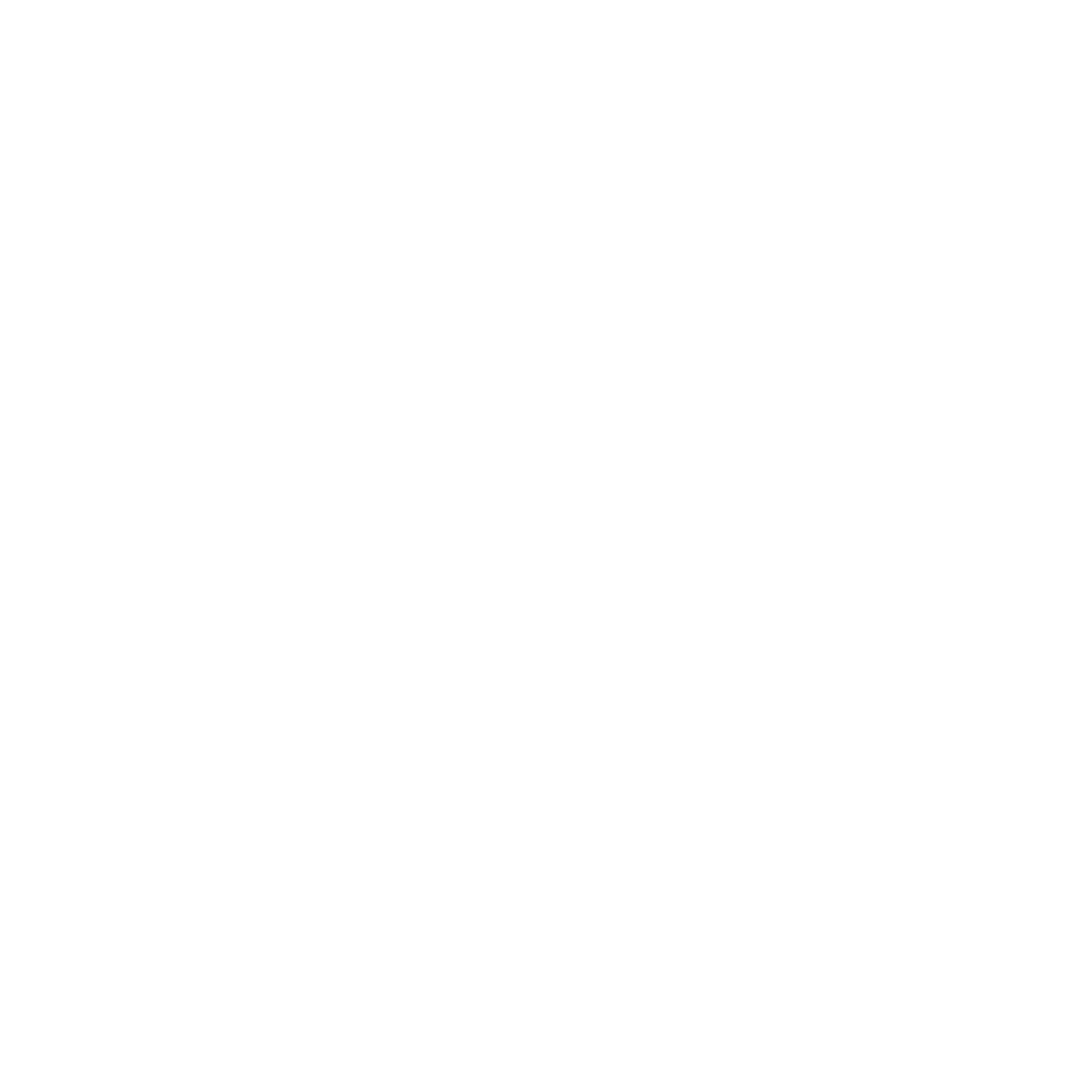 gemeente amsterdam portfolio item